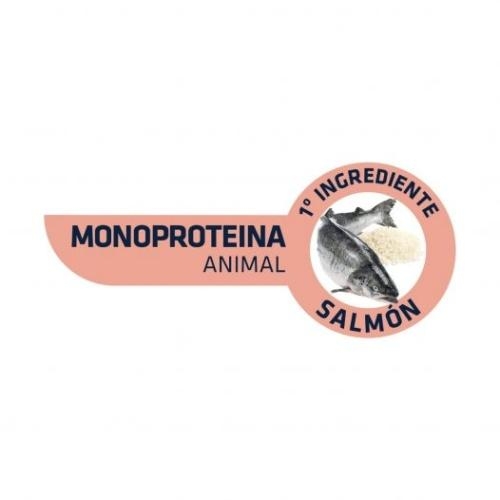 Advance Concentrado de Salmon para  Precio Guatemala - Kemik Guatemala -  Compra en línea fácil